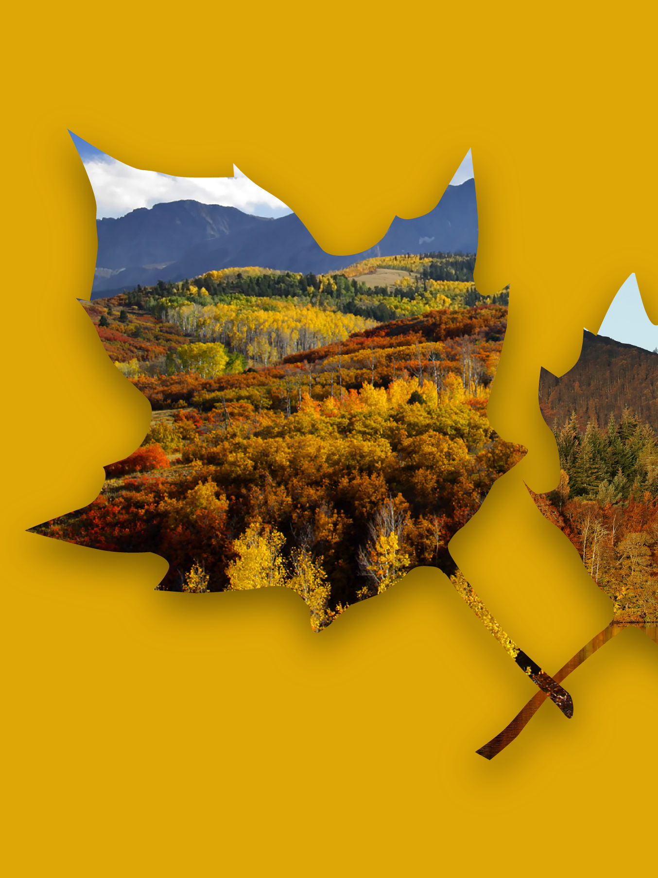 autumn leaves clip art 2024