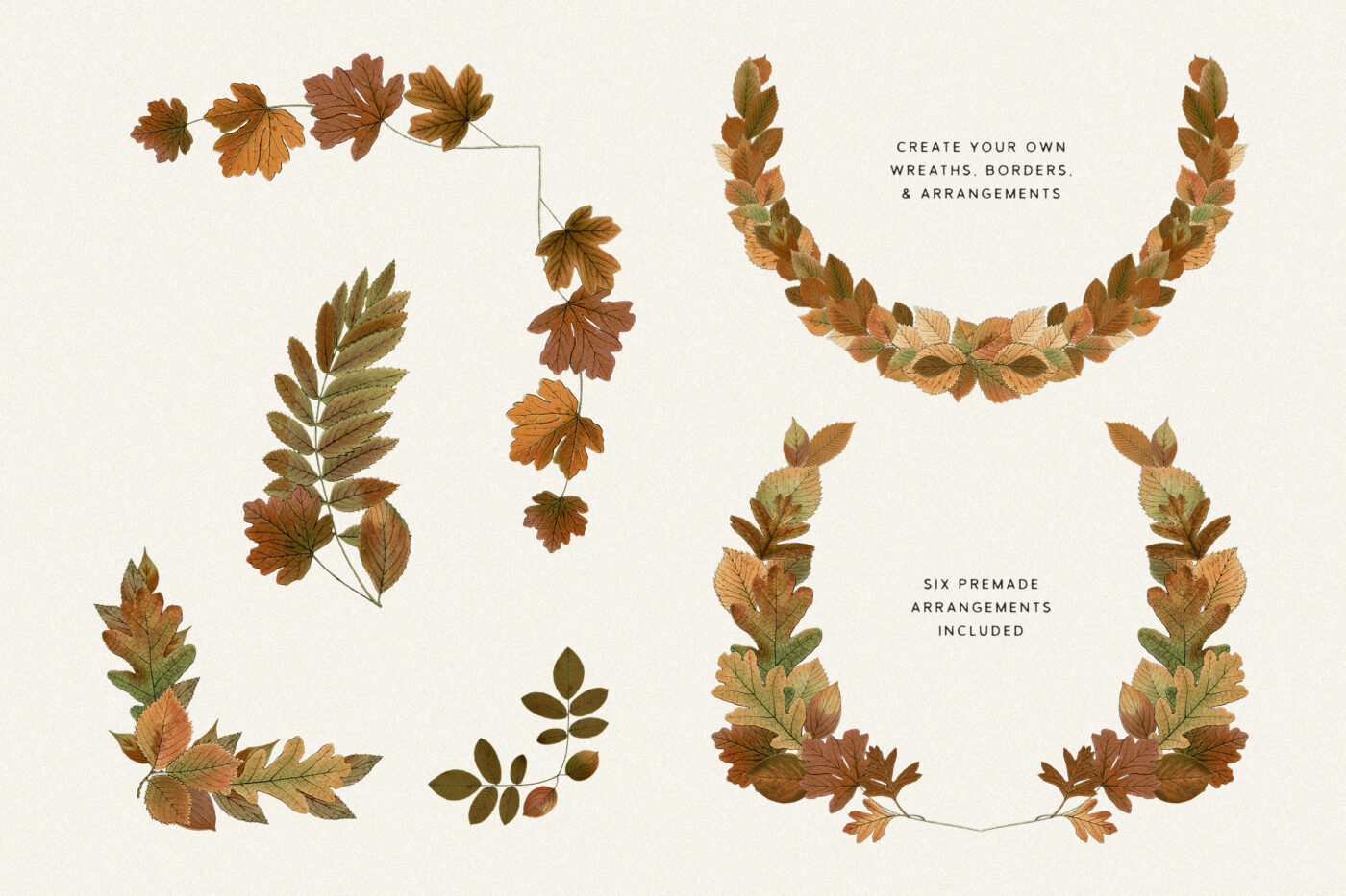 autumn leaves cliparts 2024