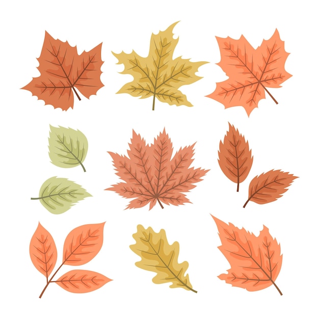 autumn leavess
