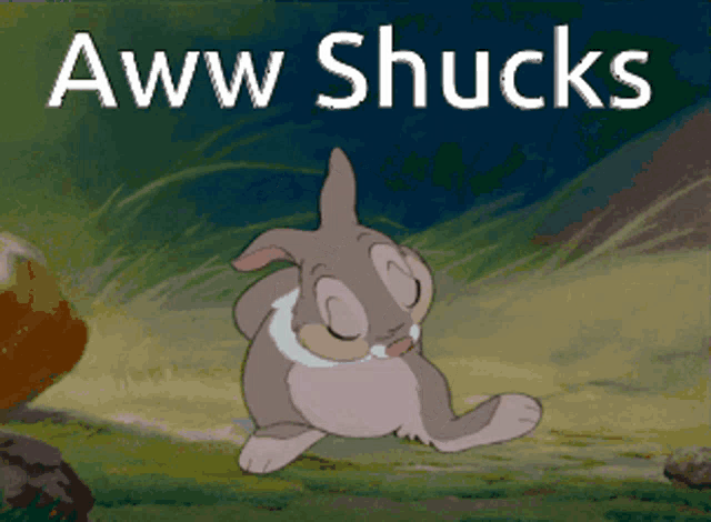 aww shuckss