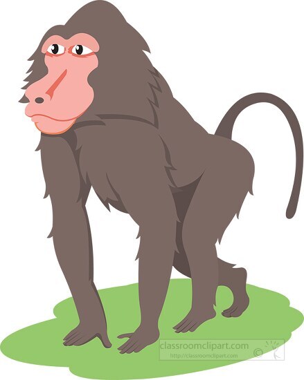 Primate Clipart-brown baboon clipart