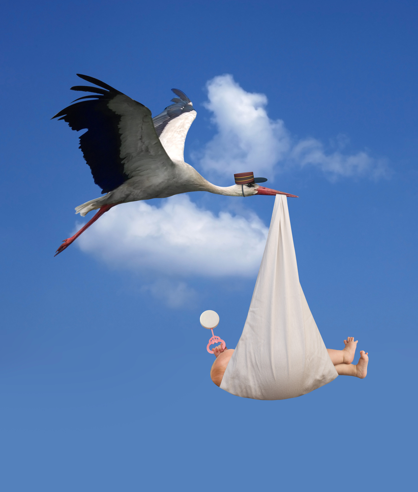Stork bird carrying hot sale baby