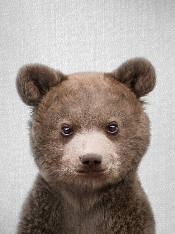 baby bears