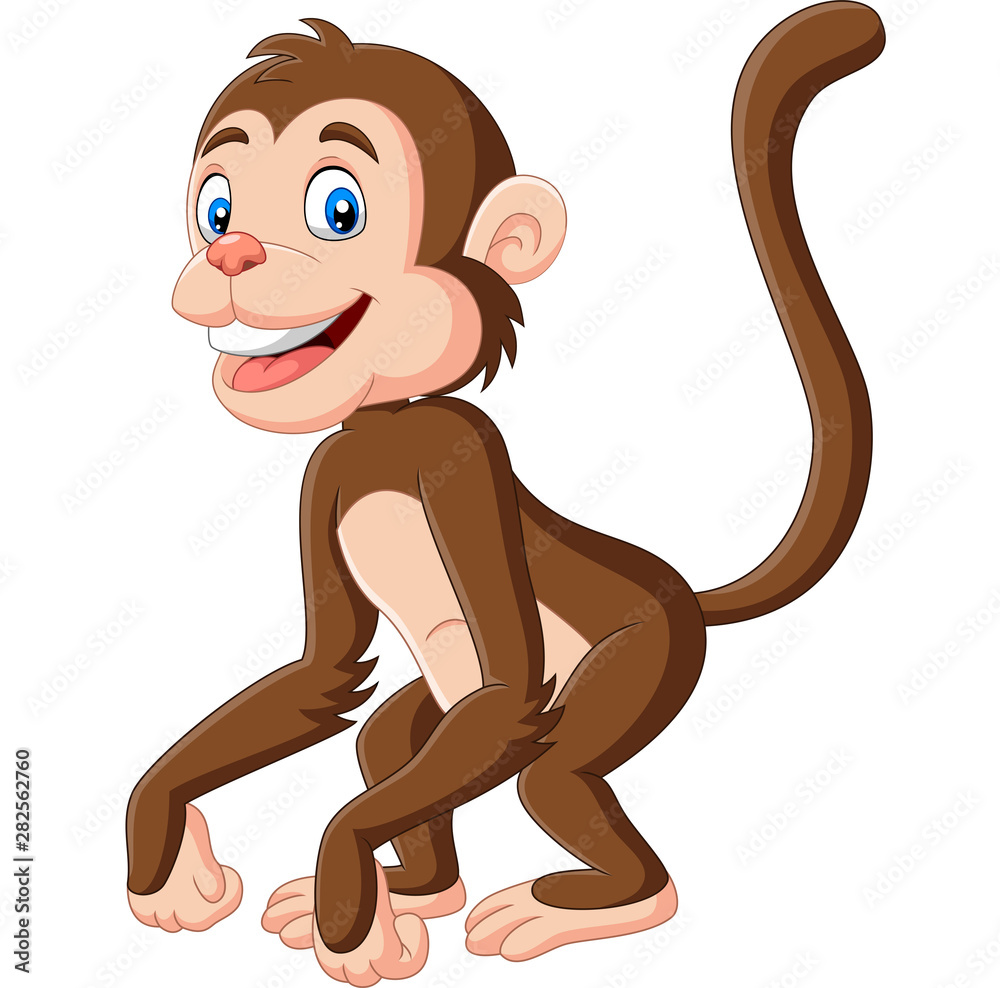 baby monkey cartoon pictures