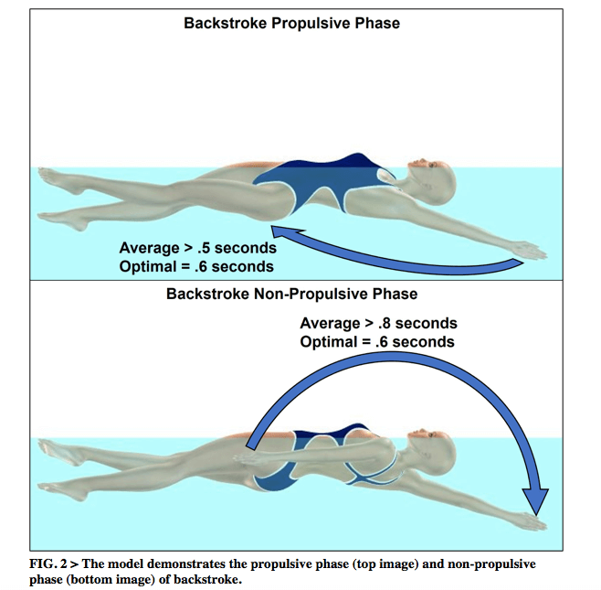Swimming Technique Concepts: Maximizing Velocity For Backstroke ...