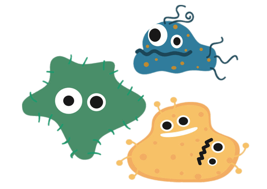 Different Bacteria Cartoon transparent PNG - StickPNG