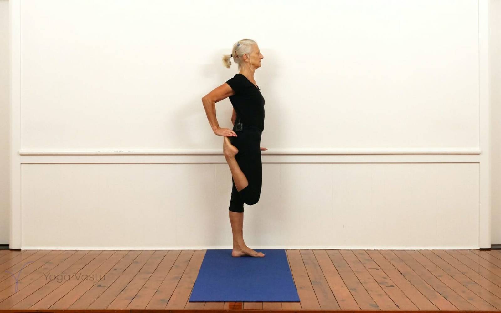 Hips &amp; Arms Balancings for Experienced Students | Yoga Vastu