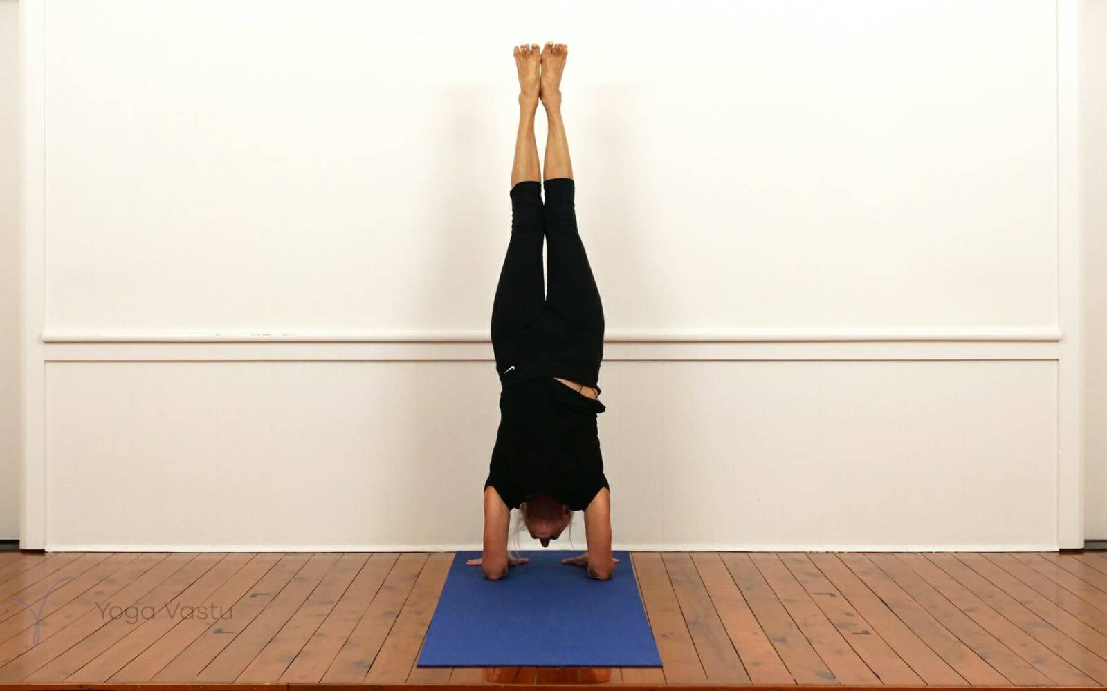 Hips &amp; Arms Balancings for Experienced Students | Yoga Vastu