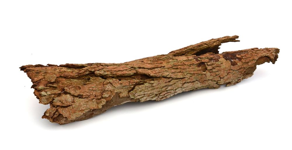 BARK Definition und Bedeutung | Collins Englisch Wörterbuch