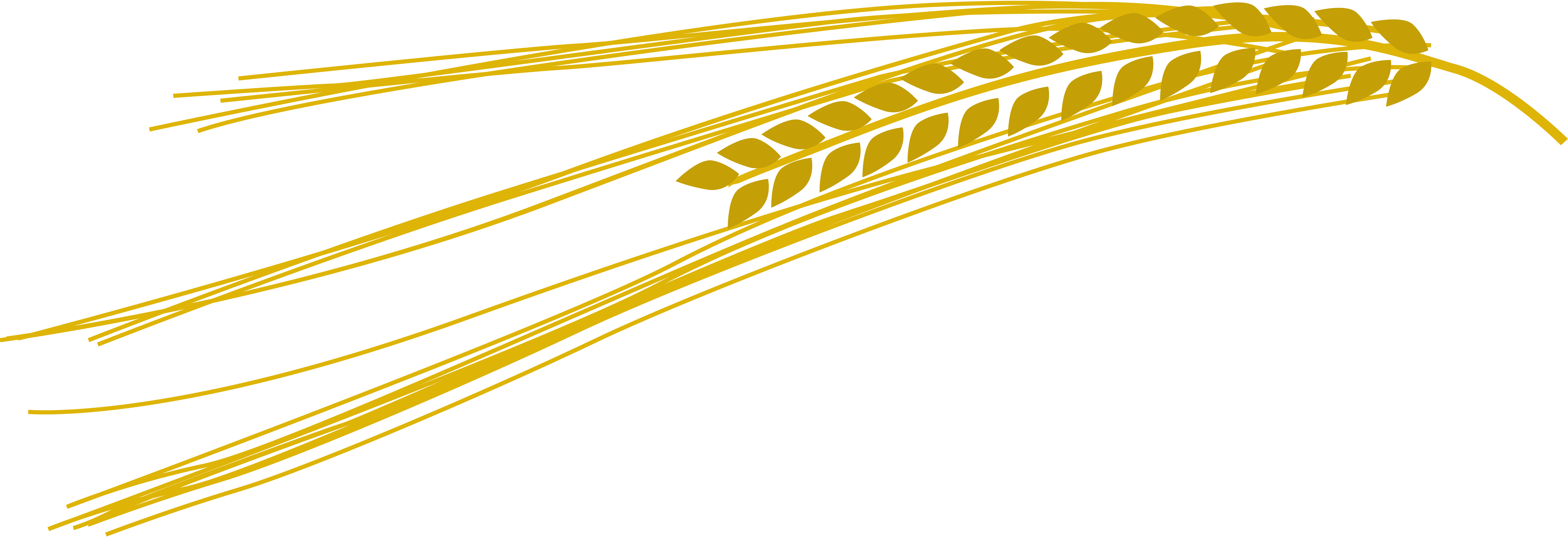 barley cliparts
