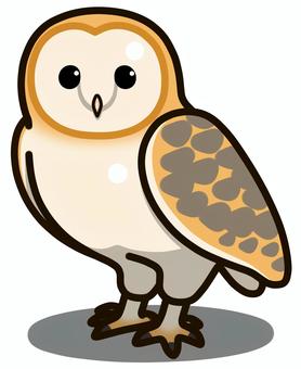 barn owl clipart