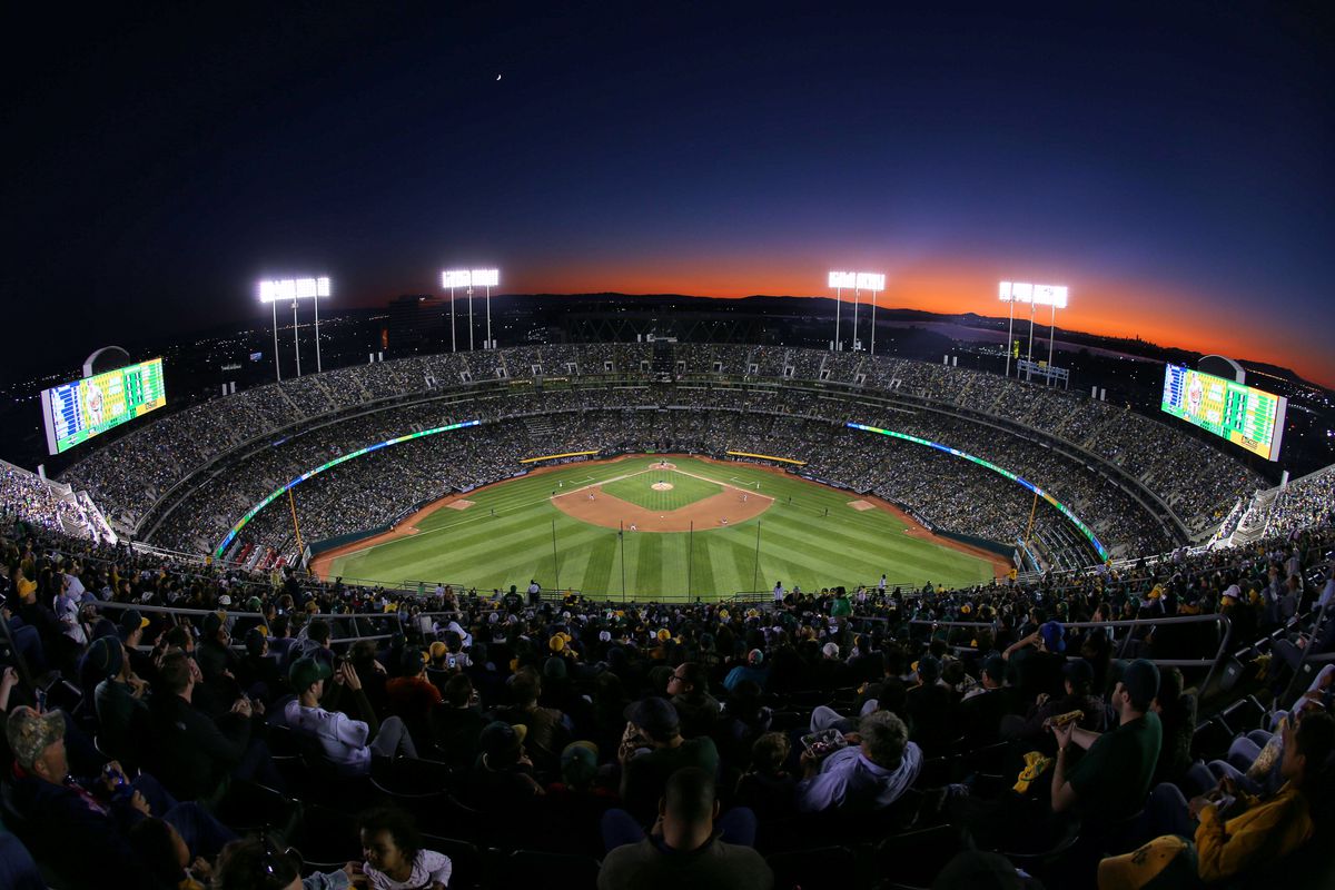 Baseball 101: Parts of the Park - DRaysBay