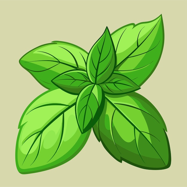 Basil clipart vector art and illustration | Premium AI-generated ...