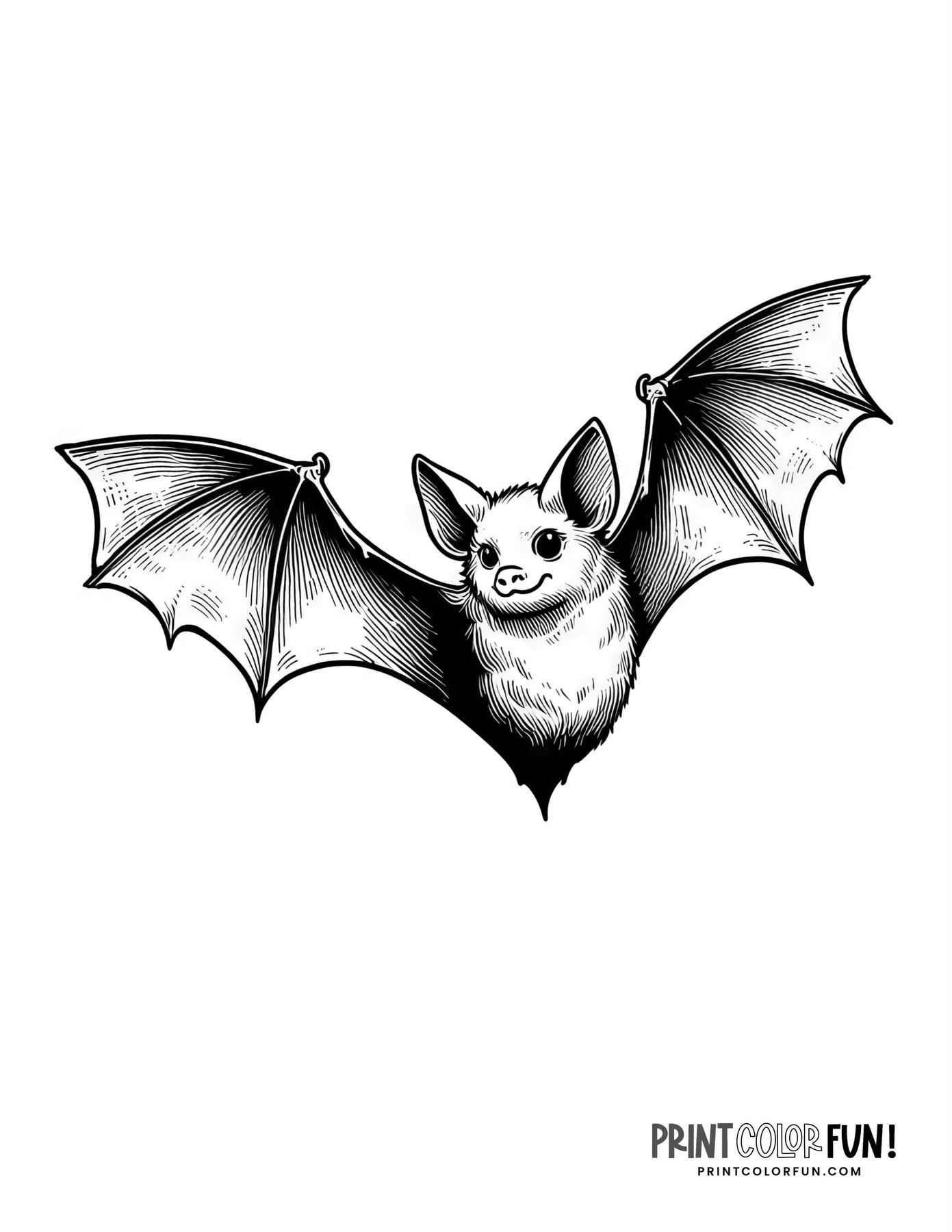 bat color pages