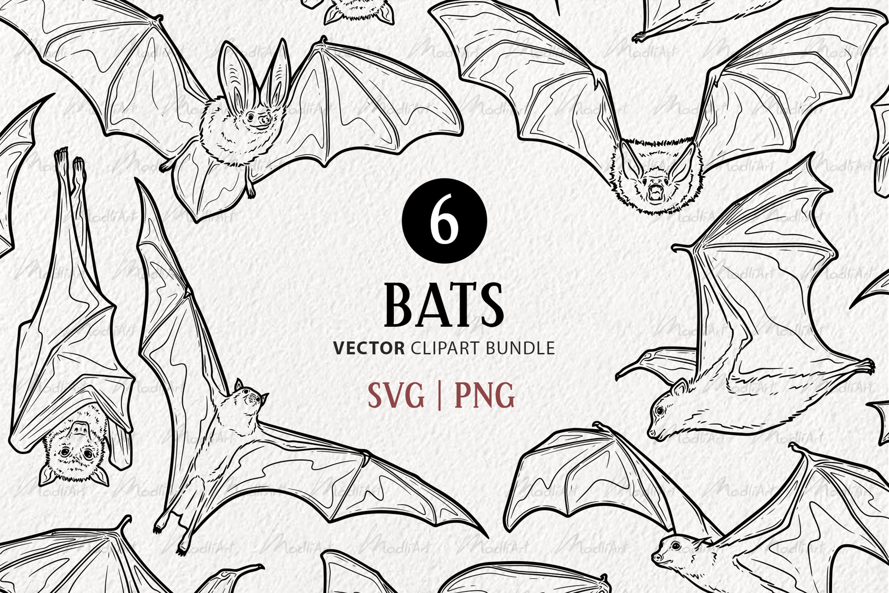 6 Bats Vector Clipart. Flying Fox, Fruit Bat, Halloween SVG