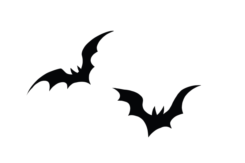Black silhouettes of bats on a white background By studiostoks ...