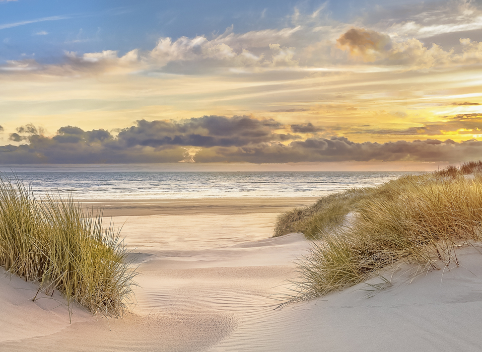 Perfect Beach Sand