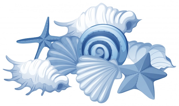 Seashell Clipart Images - Free Download on clipart library