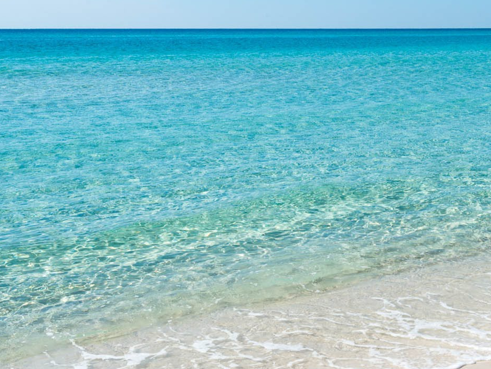 The Beach — Cool Water Beach
