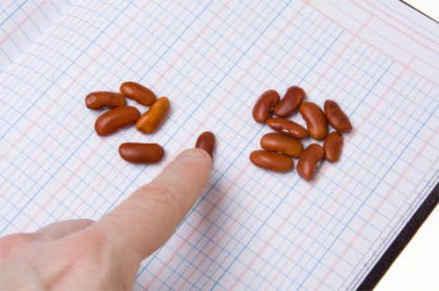 bean counter picture