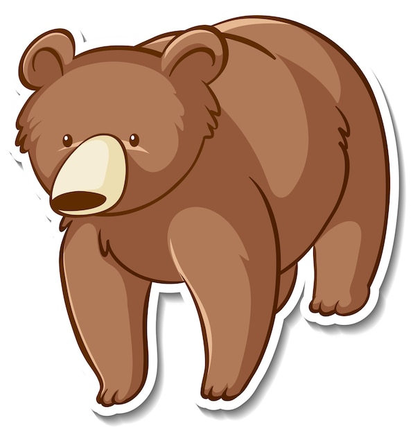bear drawing cliparts