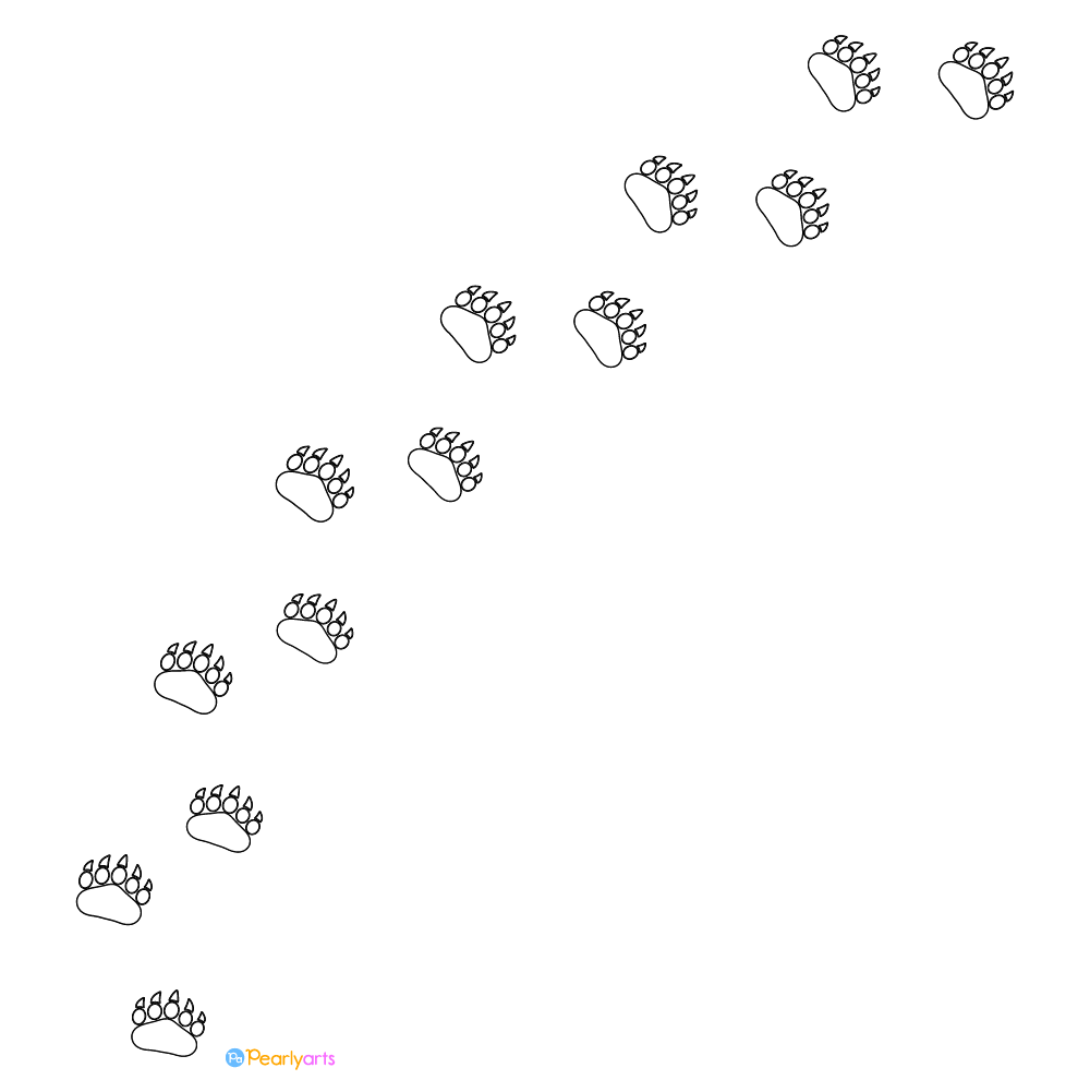 bear paw cliparts 2024