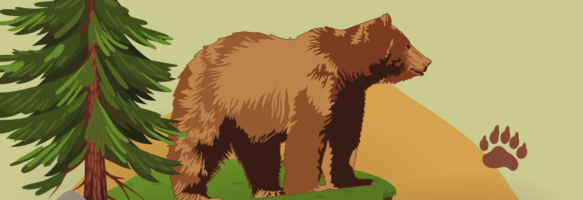 bears clipart 2024