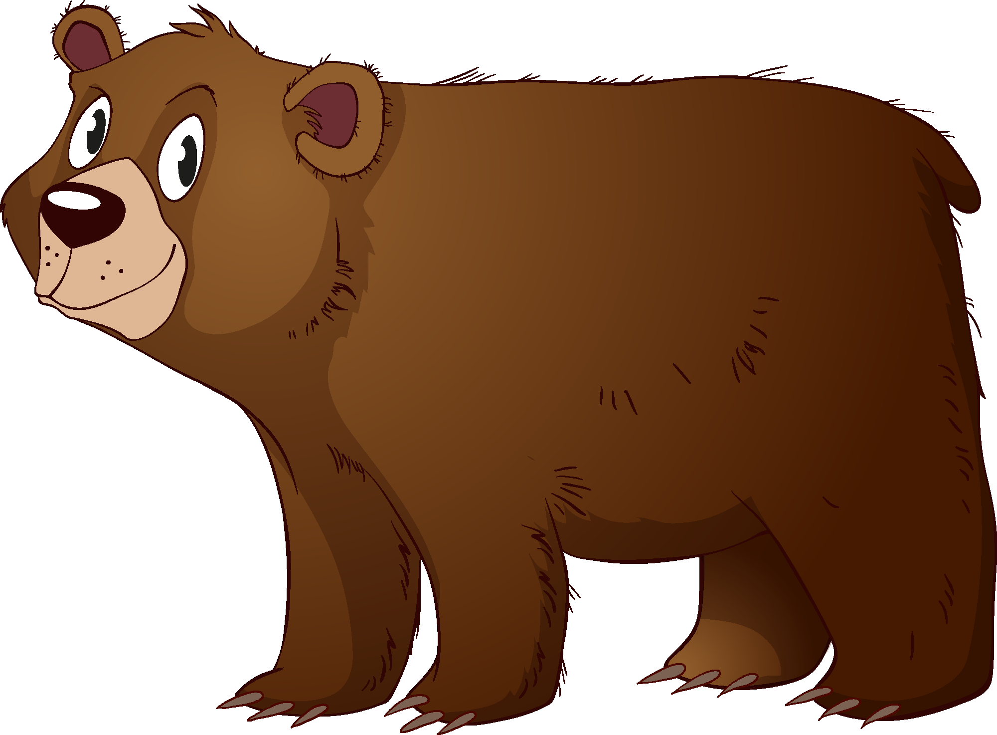 Bear - Free vector clipart images on clipart library.com
