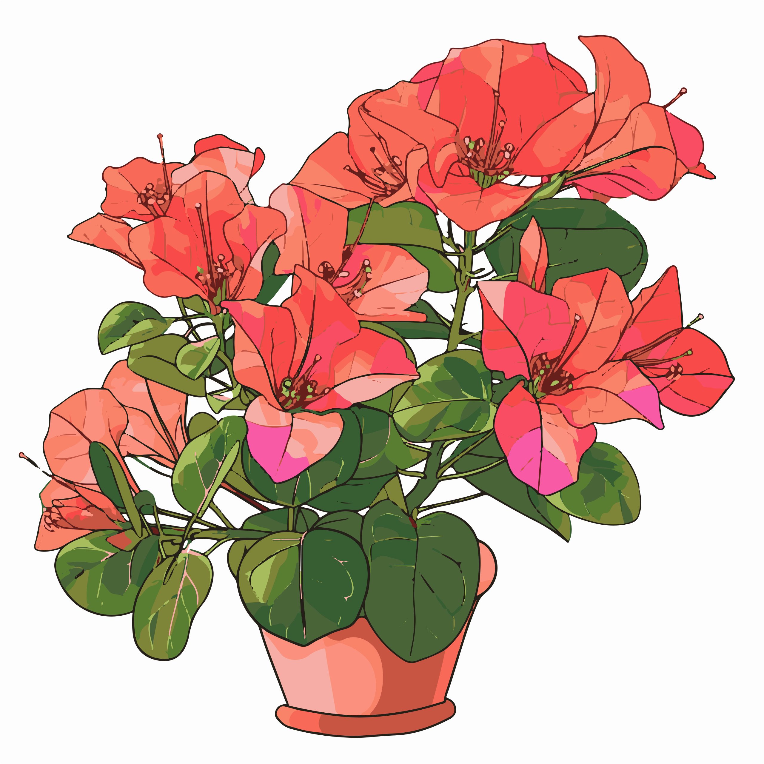 beautiful plant cliparts 2024