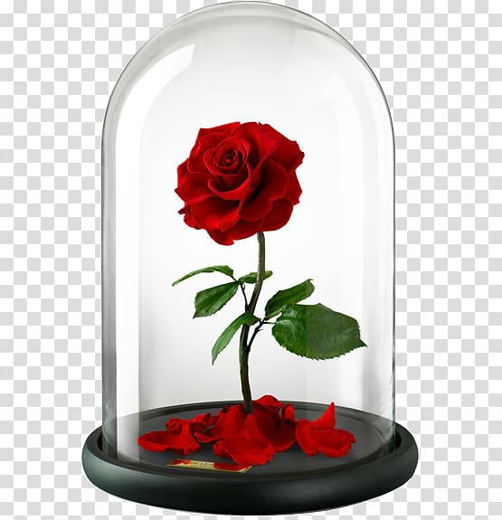 beauty and the beast rose clipart