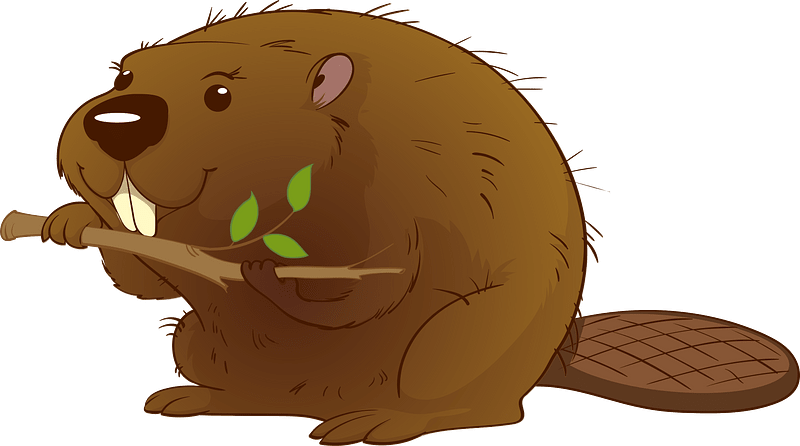 beavers cliparts
