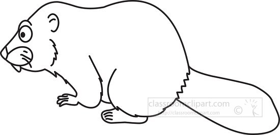 beavers cliparts