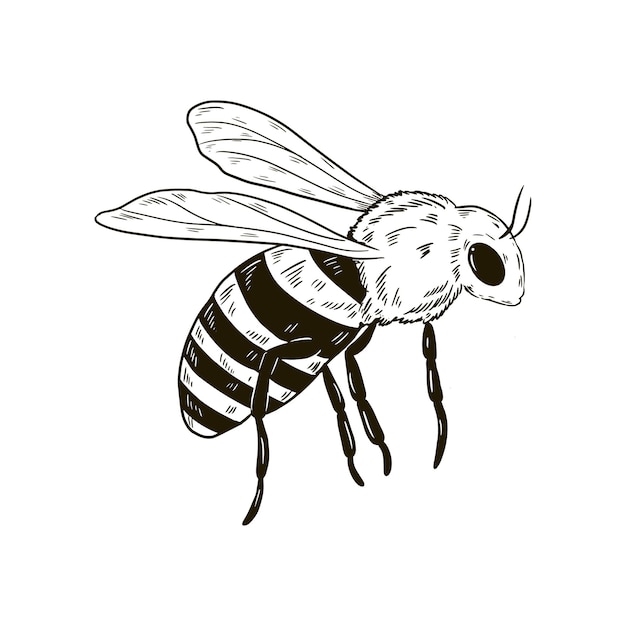 bee black cliparts
