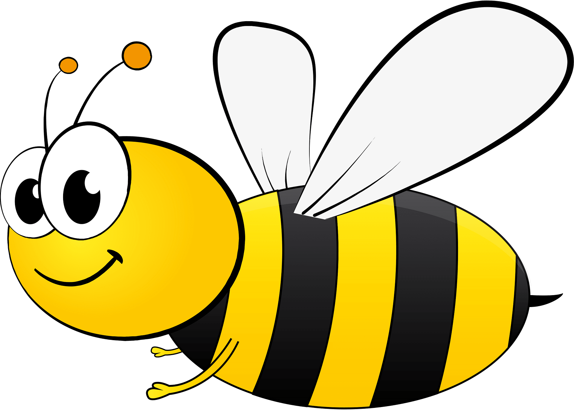 Bee - Free vector clipart images on clipart library.com