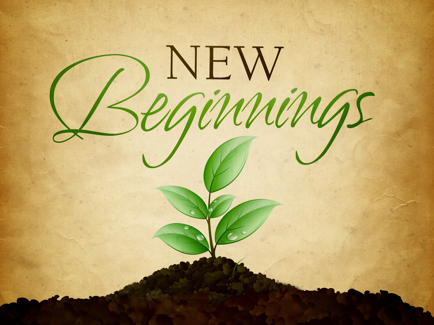 Life Is Full Of New Beginnings – Walexmarcevas Blog