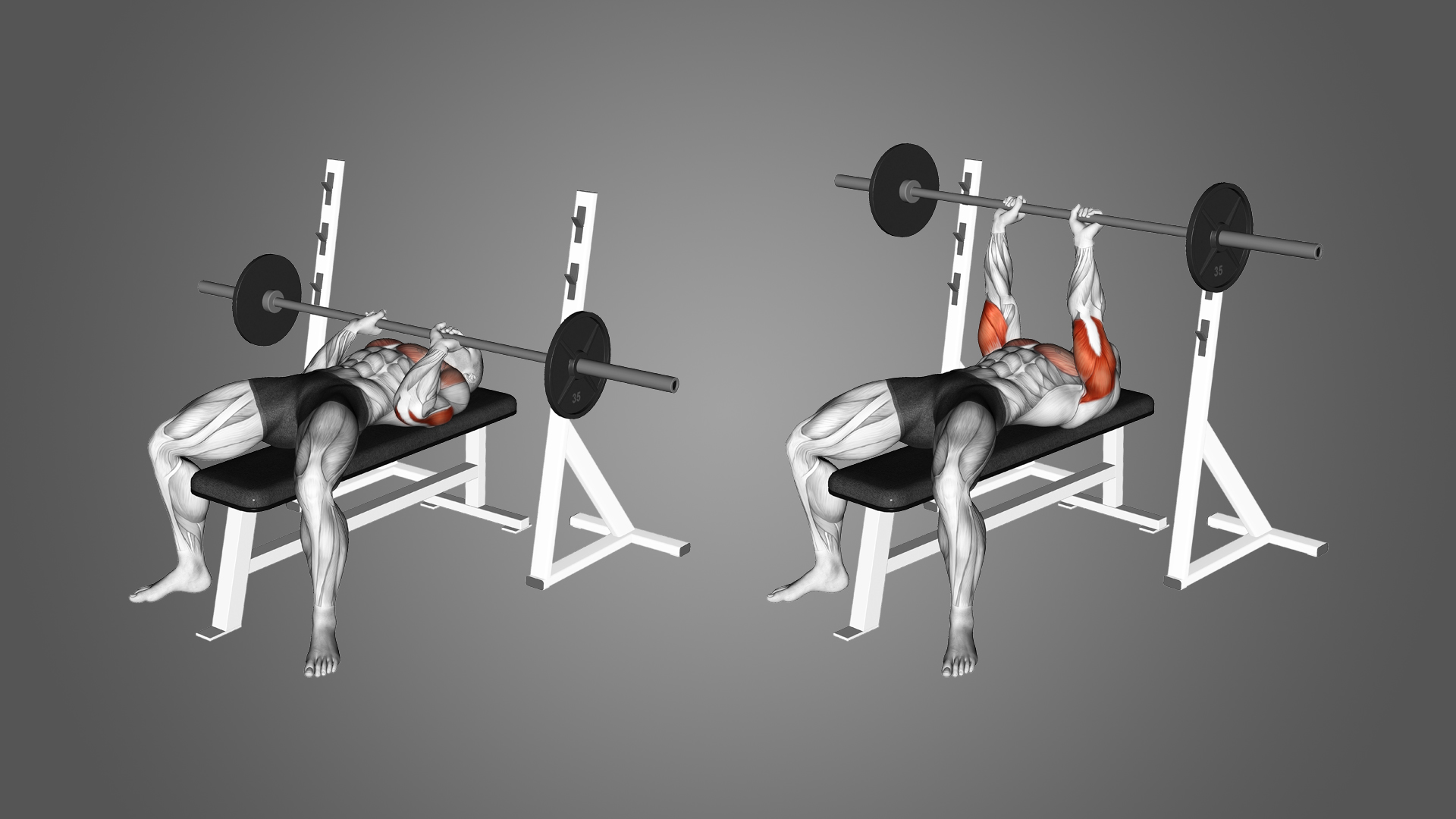 benching cliparts 2024