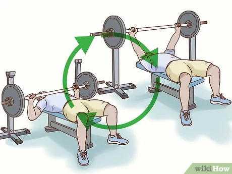 benching cliparts 2024