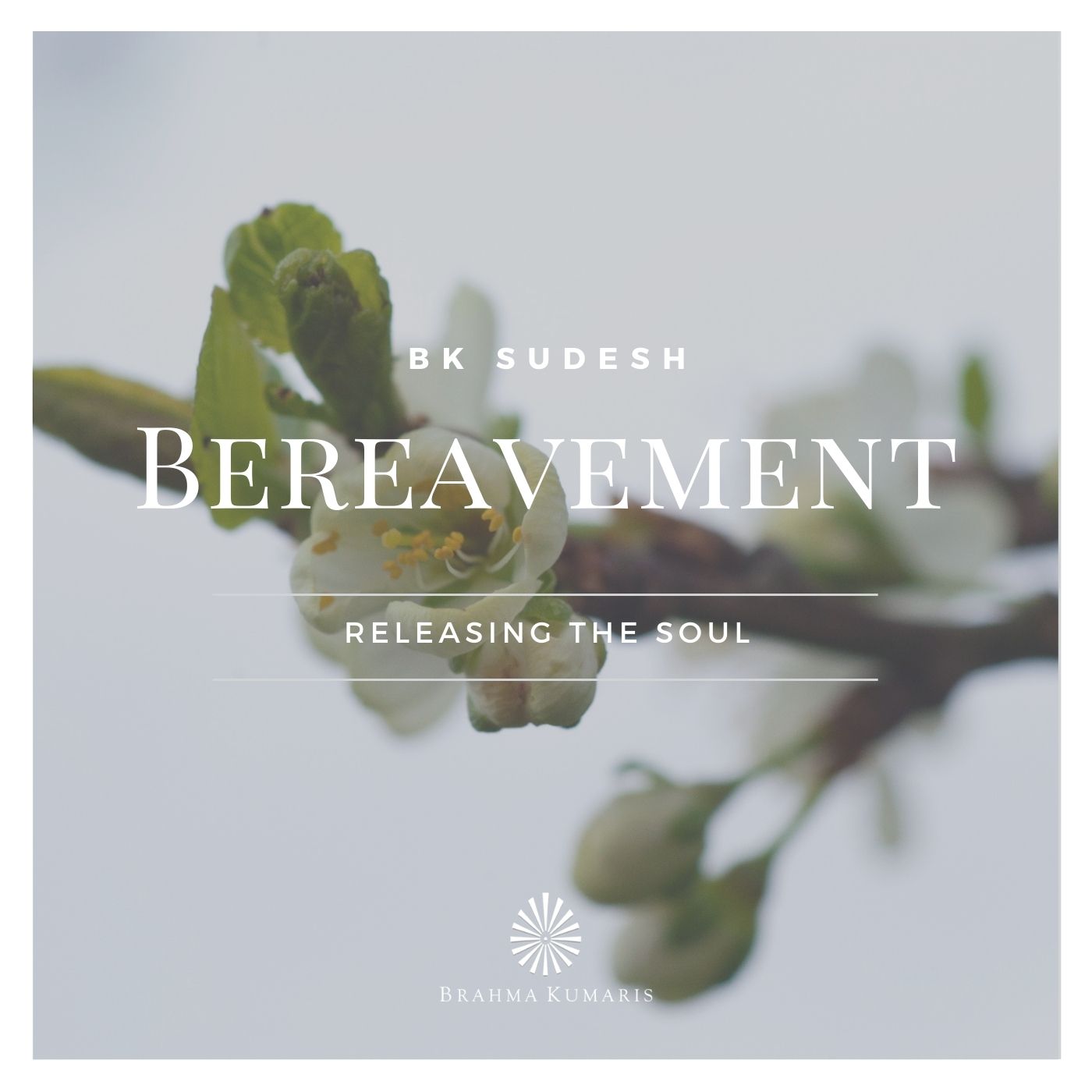 bereavements