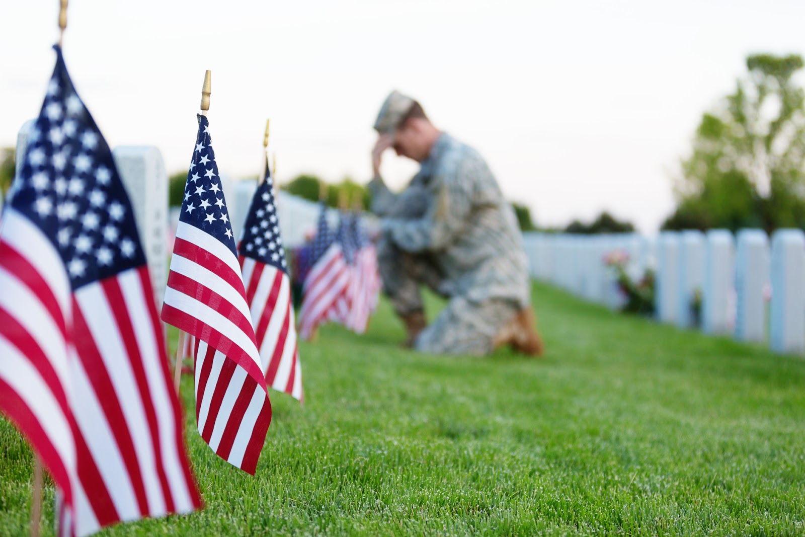 best memorial day pictures