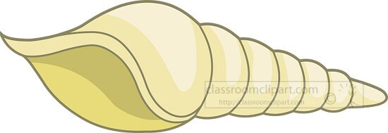 big shell cliparts 2024