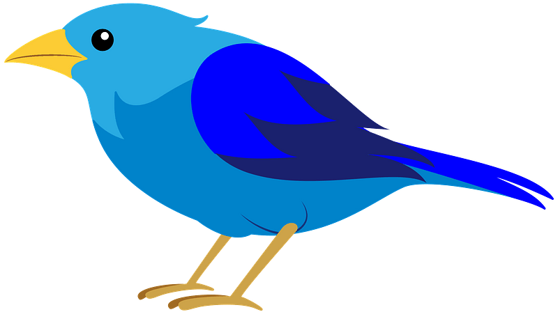 Bird Clipart Vector Art, Icons, and Graphics for Free Download