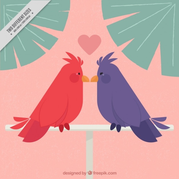 bird couple cliparts 2024