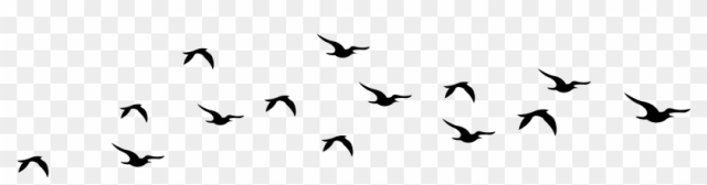 bird silhouette cliparts