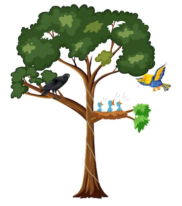 Bird Tree Images - Free Download on clipart library