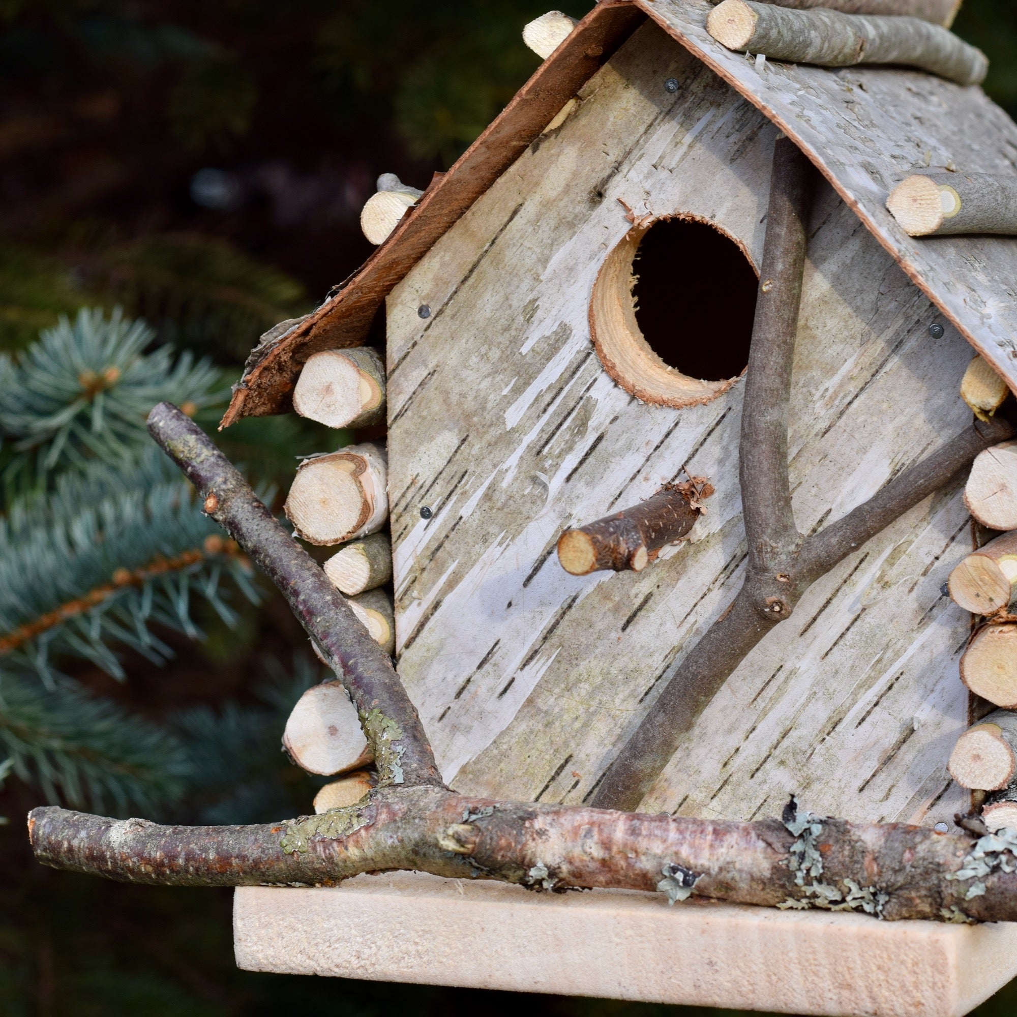 birdhouse pictures