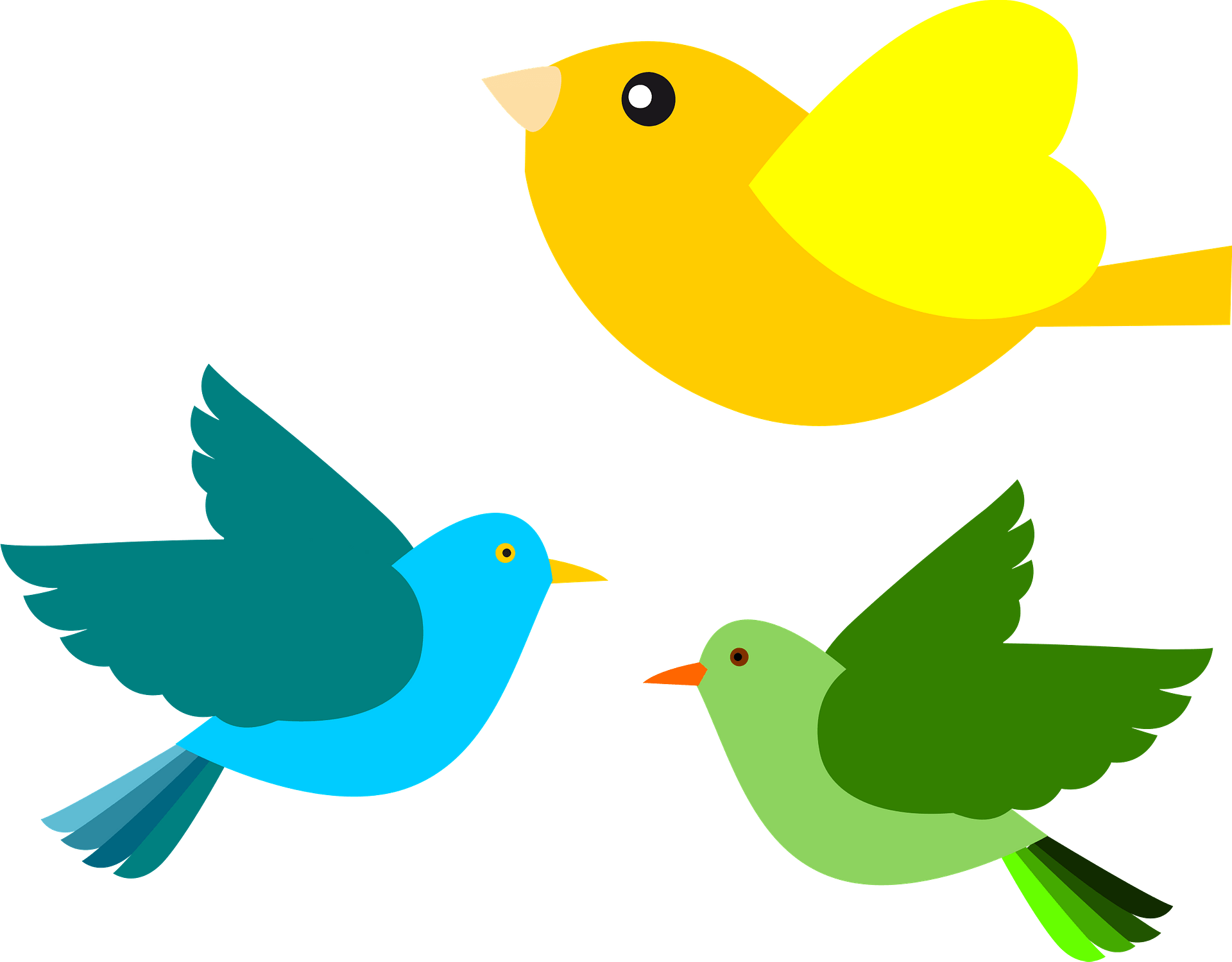 birds clipart