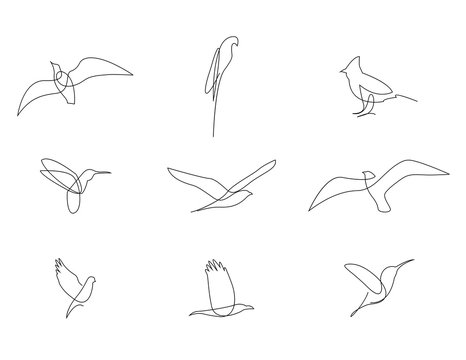 One line birds set. Vector illustration Stock-Vektorgrafik | Adobe ...