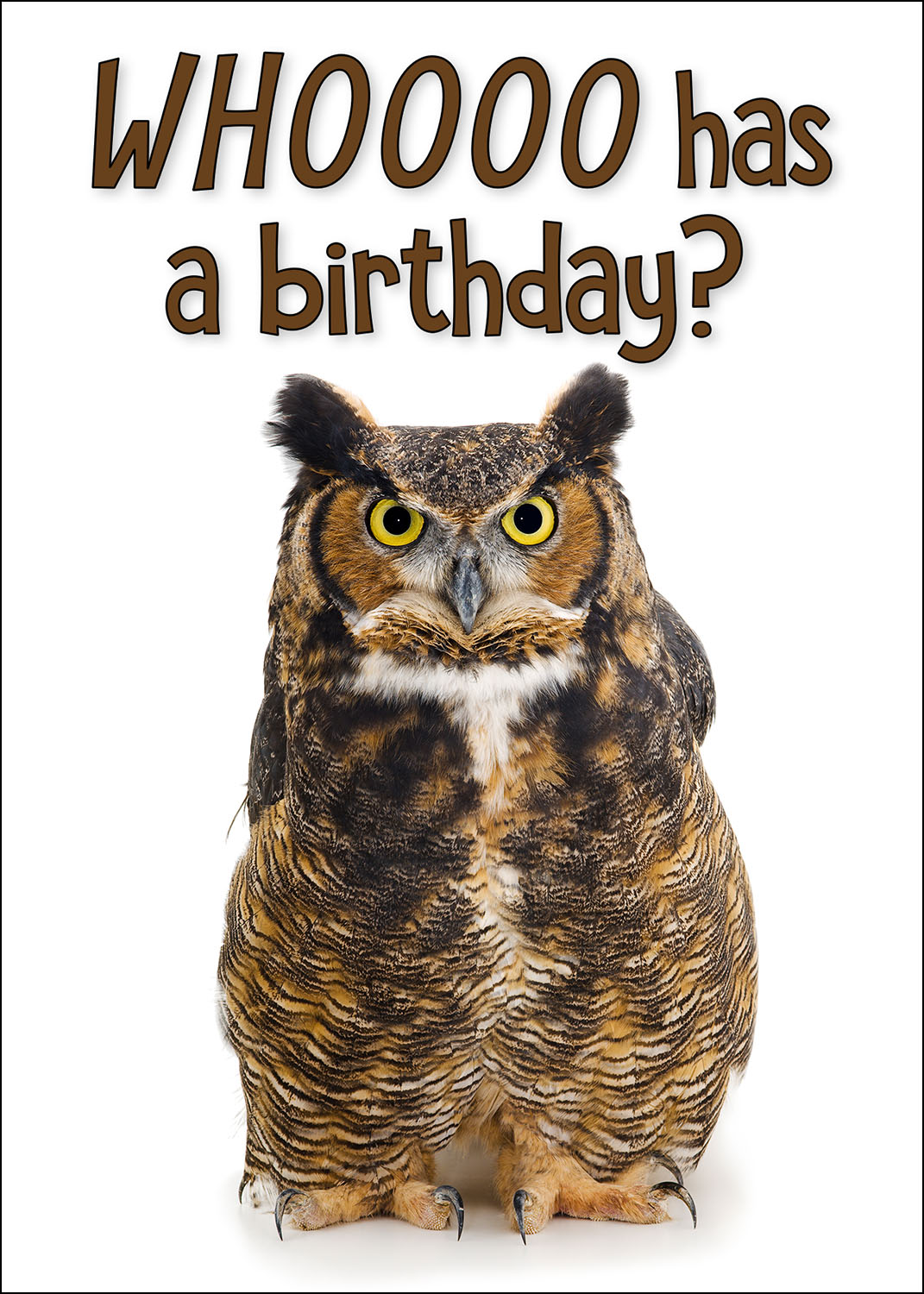 Great Horned Owl Birthday Card