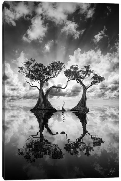 black and white art pictures