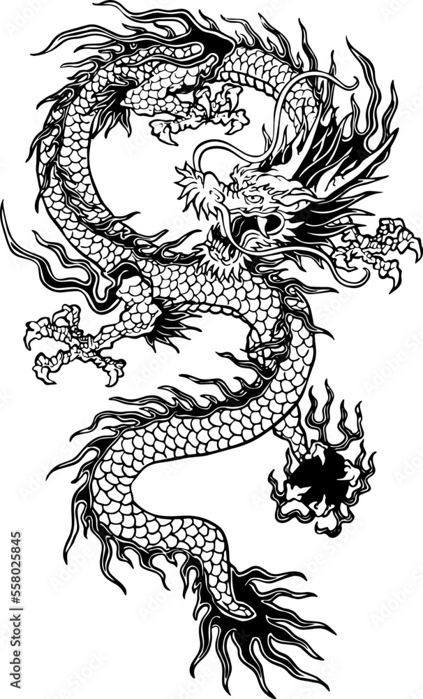 black and white dragon images